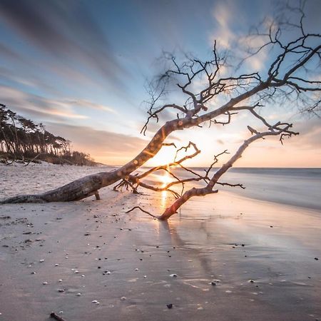 Haus 54 Hostel Zingst Εξωτερικό φωτογραφία