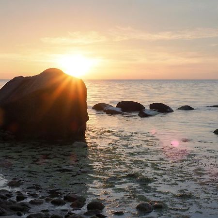 Haus 54 Hostel Zingst Εξωτερικό φωτογραφία