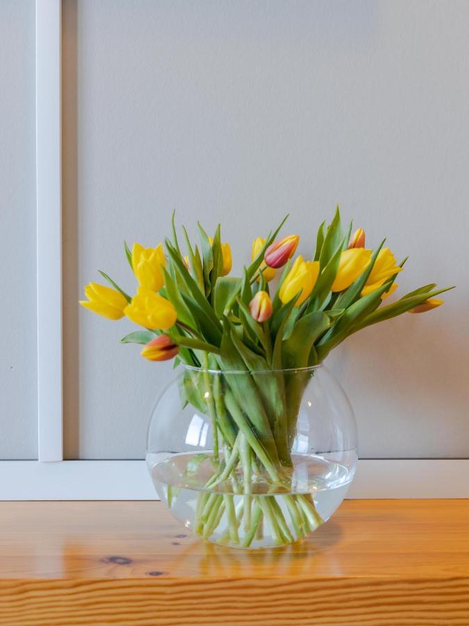 Haus 54 Hostel Zingst Εξωτερικό φωτογραφία
